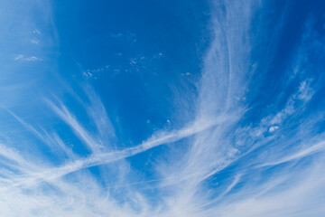 青空と飛行機雲