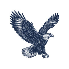 Eagle Vector, eagle silhouette, eagle Vector drawing
