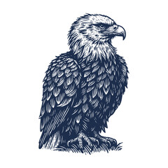 Eagle Vector, eagle silhouette, eagle Vector drawing