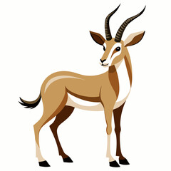 Oryx gazelle isolated on white background