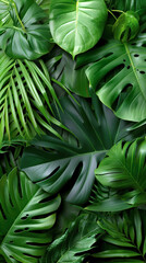 Fototapeta premium Lush Green Tropical Leaves Botanical Photography Jungle Foliage Nature Background