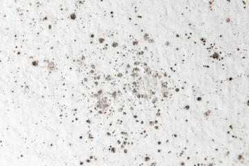 Mold on bathroom ceiling - moist indoor environment - Denmark