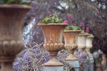 Large stone vases in the form of flower pots with flowers in a pretty Spanish garden with lilac tones and soft light