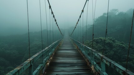 Fototapeta premium Foggy Jungle Bridge