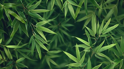 Fototapeta premium bamboo leaves with a seamless green background