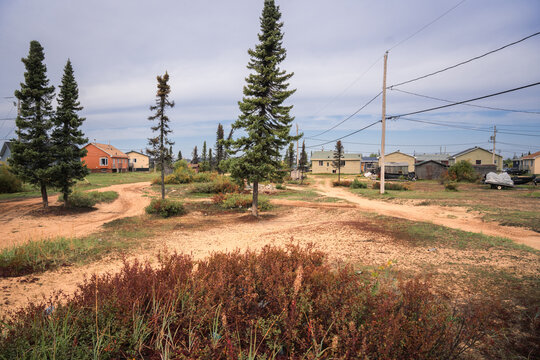 Boreal forest in canadian indigenous village