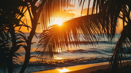 palm tree silhouettes at sunset on a tropical beach