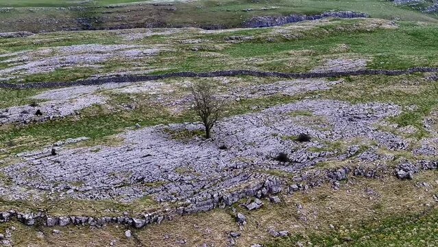 The Lone Tree and Malham Lings Aerial Video of Malham LIngs.This has interesting limestone features. Between Malham Cove and Gordale Scar.
