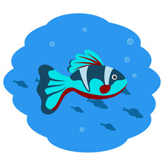 Fototapeta premium Turquoise fish