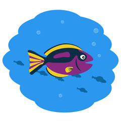 Purple fish