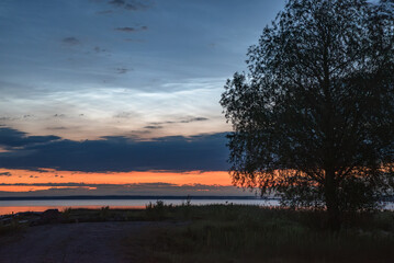 silver clouds in the reflection of the lake on a summer night with a lone tree on the shore