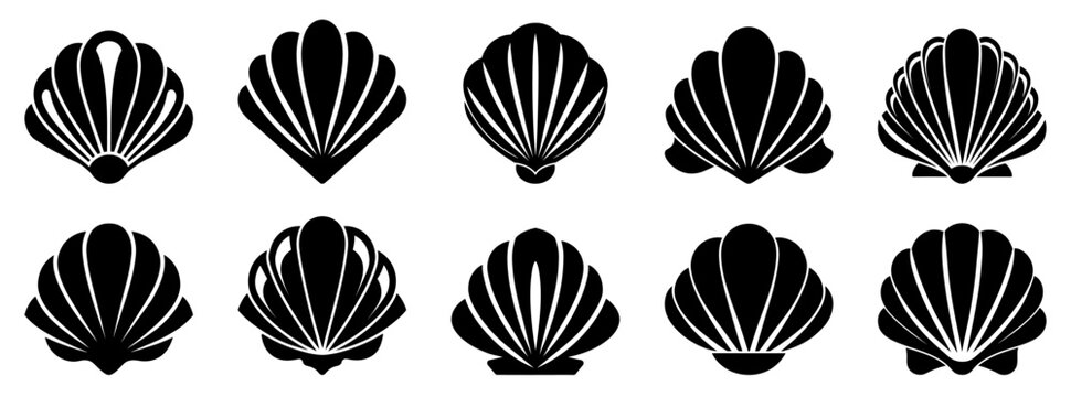 Sea shell icon. Set of pearl shell icons. Vector illustration. Shell vector icons. Black seashell icons