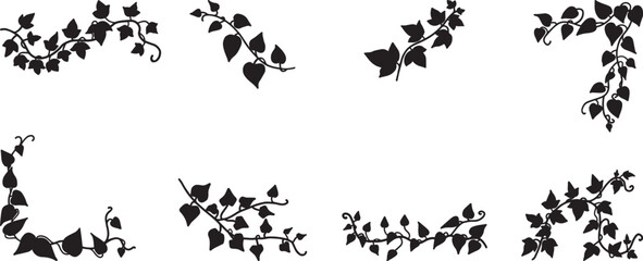 Simplicity ivy freehand drawing flat design collection © Adisak