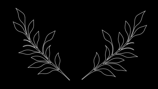 Growing and Bending Flourishes. White Stroke Leaves Moving Animation. 4K 