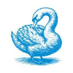 swan vector, swan crown vector, swan logo vector, swan illustration, swan logo, swan © CROP MEDIA