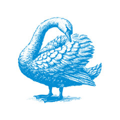 swan vector, swan crown vector, swan logo vector, swan illustration, swan logo, swan