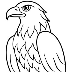 eagle bird