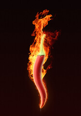 Red hot chili pepper on fire