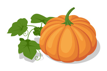 Isometric Orange Pumpkin. Pumpkin, a vibrant orange food, is rich in vitamins and fiber. Commonly used in cooking, it lends its sweet flavor and creamy texture to soups, pies, and baked goods.
