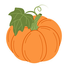 Ripe orange pumpkin with green leaf. Hand drawn trendy flat style isolated on transparent background Organic food, Autumn Harvest, Thanksgiving, halloween. Healthy vegetarian menu Vector illustration