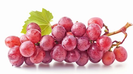 Fototapeta premium grape isolated white background.