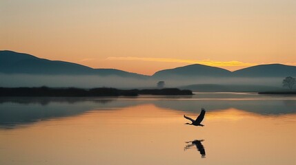 A bird crossing the river UHD wallpaper