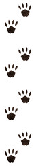 hamster footprints