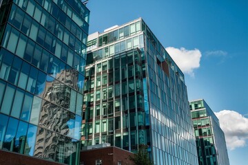 Contemporary glass-paneled office space in Moncton, New Brunswick, embodying innovation and progress with bright, inviting reflections.