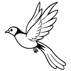 white dove flying