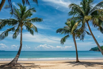 Fototapeta premium palm trees on the beach Summer with style