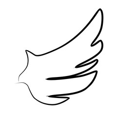 Hand drawn wing sketch. Outline vector