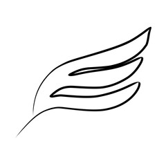 Hand drawn wing sketch. Outline vector