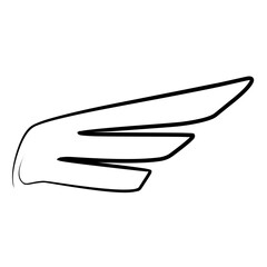 Hand drawn wing sketch. Outline vector