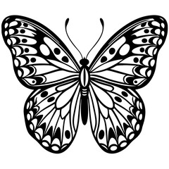 solid-black-outline-fritillary-butterfly-animal-ve