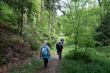 Groupe de randonneurs seniors en Bretagne