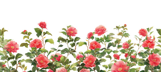 Seamless Horizontal Watercolor roses Bush Shrubs Bottom Border isolated on transparent png background - Floral Design Romantic Greeting Cards & Wedding