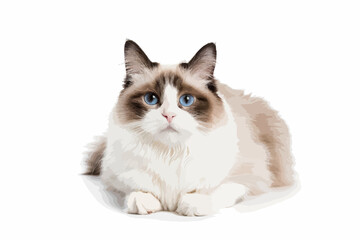 Siamese Cat with Blue Eyes