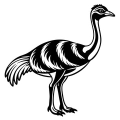 solid-black-outline-gastornis-animal-vector-on-whi