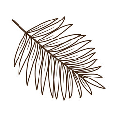 Botanical tropical palm multileaf leaves branches hand drawn line for modern design decoration. Flat doodle style. Vector illustration.