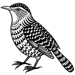 solid-silhouette-cactus-wren-animal-vector