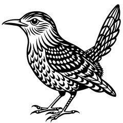 solid-silhouette-cactus-wren-animal-vector