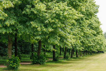 Barokschloss im Emsland