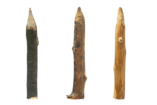 Wooden stakes isolated on white background.