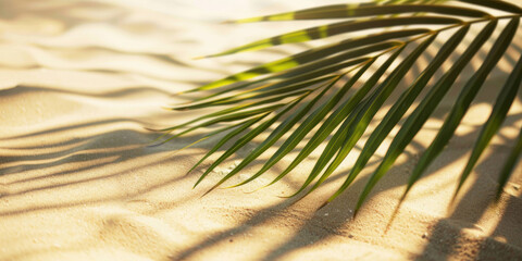 Obraz premium Tranquil Tropical Vibes - Palm Leaf Shadows Casting Warmth on Sandy Beach Background