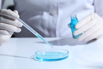 Fototapeta premium Scientist with bottle dripping liquid from pipette into petri dish at white table, closeup
