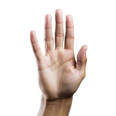 Hand PNG