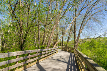 Fototapeta premium Roswell Riverwalk Boardwalk is a 7-mile off-road path runs along the Chattahoochee River in Roswell, Georgia, north of Fulton County. A walking path along the river. People can walk their pets