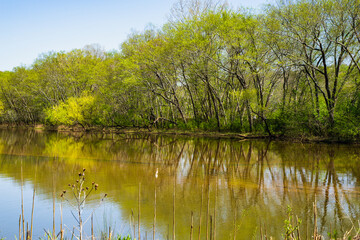 Roswell Riverwalk Boardwalk is a 7-mile off-road path runs along the Chattahoochee River in Roswell, Georgia, north of Fulton County. A walking path along the river. People can walk their pets