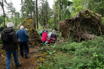 Groupe de randonneurs seniors en Bretagne