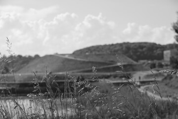 Fototapeta premium tall blades of grass with bison bastion in the background in the lower town of Gdansk in black and white
